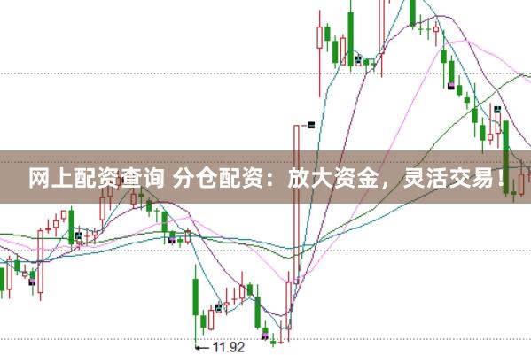 网上配资查询 分仓配资：放大资金，灵活交易！