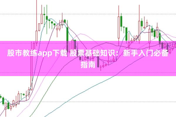 股市教练app下载 股票基础知识：新手入门必备指南