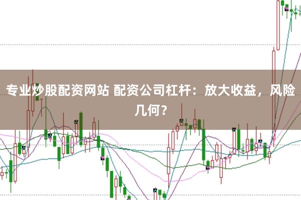 专业炒股配资网站 配资公司杠杆：放大收益，风险几何？