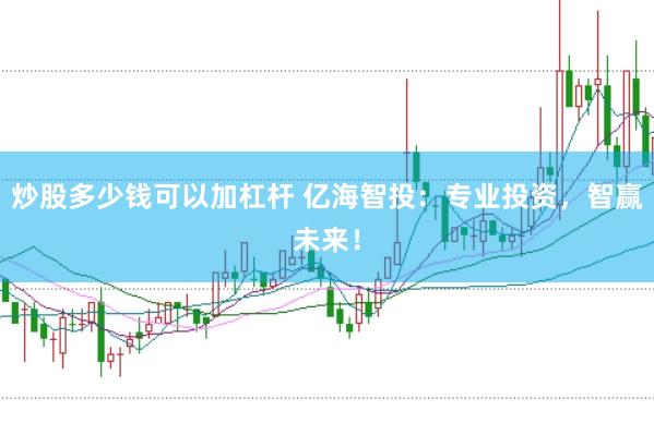 炒股多少钱可以加杠杆 亿海智投：专业投资，智赢未来！