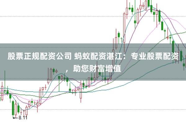 股票正规配资公司 蚂蚁配资湛江：专业股票配资，助您财富增值