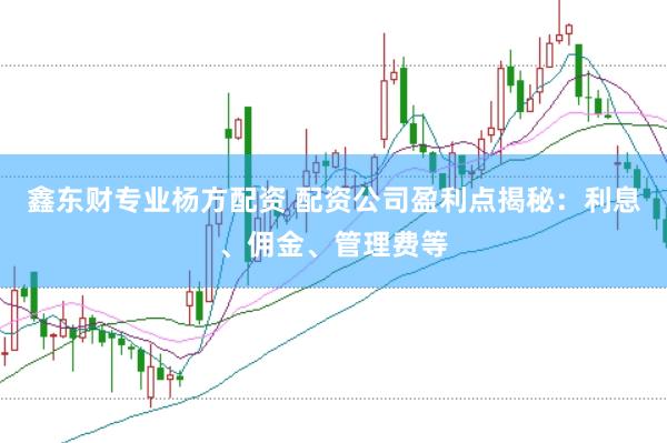 鑫东财专业杨方配资 配资公司盈利点揭秘：利息、佣金、管理费等