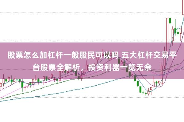 股票怎么加杠杆一般股民可以吗 五大杠杆交易平台股票全解析，投资利器一览无余