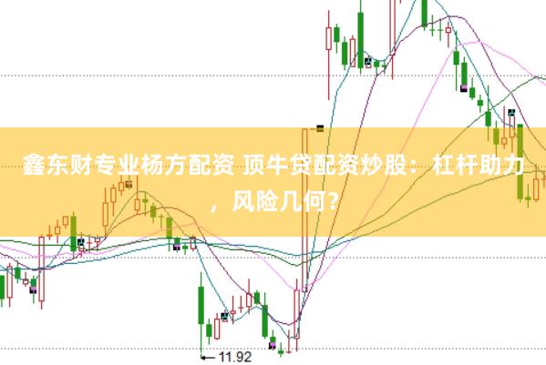 鑫东财专业杨方配资 顶牛贷配资炒股：杠杆助力，风险几何？