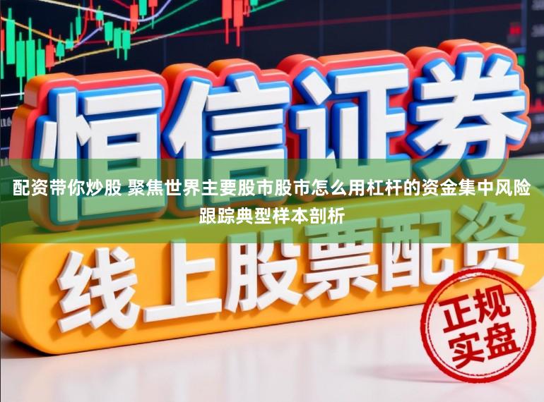 配资带你炒股 聚焦世界主要股市股市怎么用杠杆的资金集中风险跟踪典型样本剖析